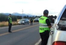 Provincia controló más de 8.800 vehículos y retiró de la vía pública a 56 conductores durante el fin de semana largo