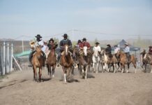 Seis fiestas populares se disfrutaron este fin de semana en distintos puntos del Chubut