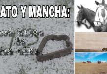 GATO Y MANCHA: LOS HIJOS DE YAS AIKE.