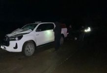Conductor impactó contra un caballo en RN26