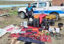 Red de caza furtiva: Encuentran más de 1.000 guanacos faenados de manera clandestina en un establecimiento rural de Gobernador Costa