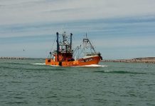 La Secretaría de Pesca definió la fecha para el inicio de la prospección de langostino en aguas provinciales
